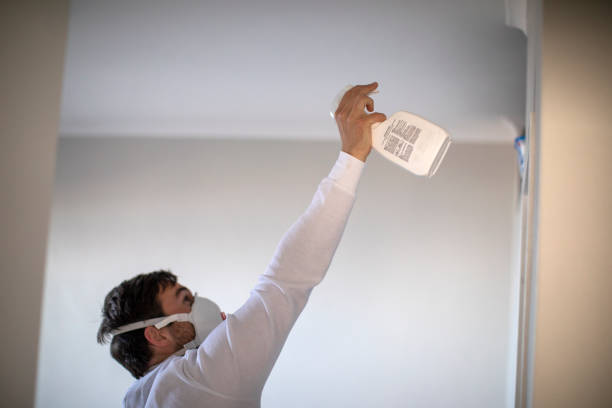Best Kitchen Mold Remediation in Old Brookville, NY
